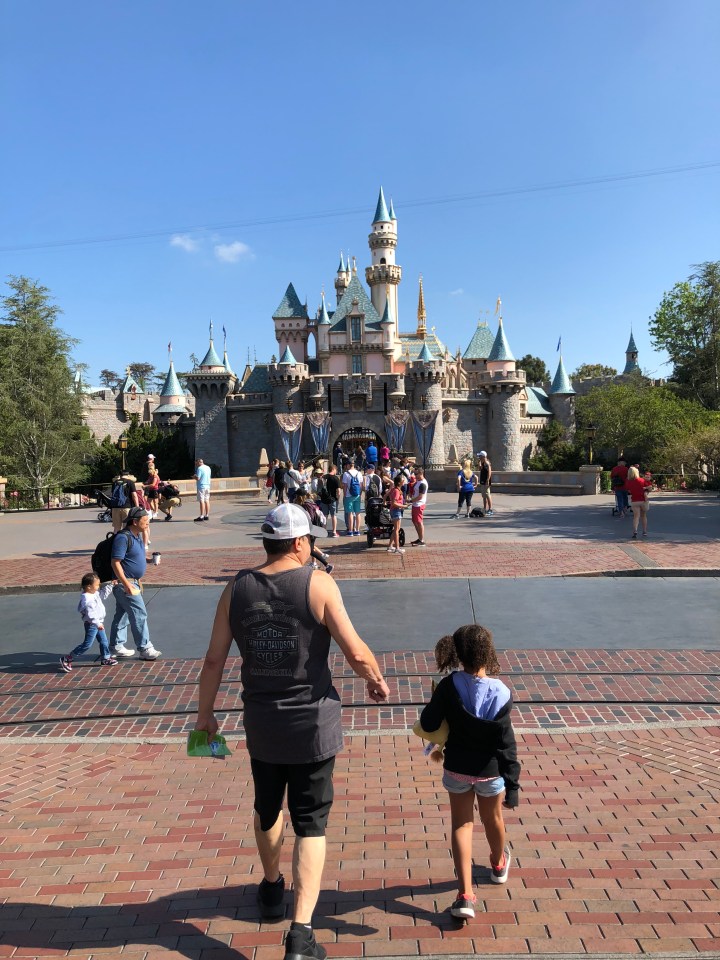 72D76ECA-7358-43A7-A8B8-3C6EDC6F8E19