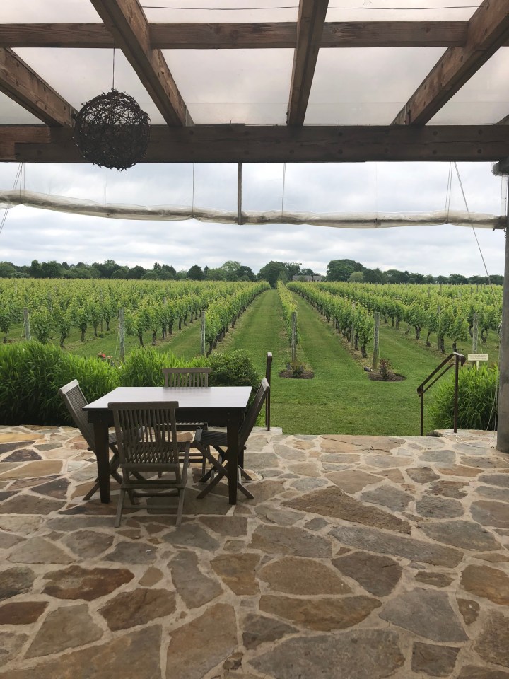 91EA40A7-39C6-4A41-A081-516CBAF65B91