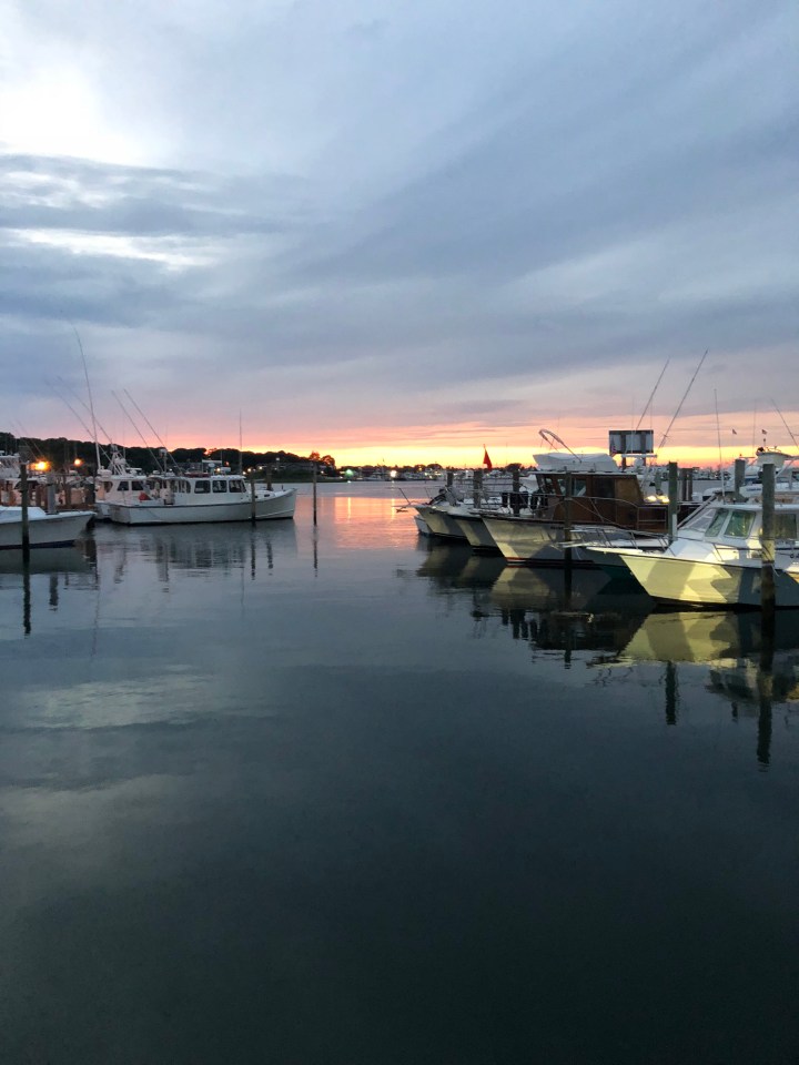 CFC8CDF4-B9D7-4F73-A86C-FCF3EE5D06E9